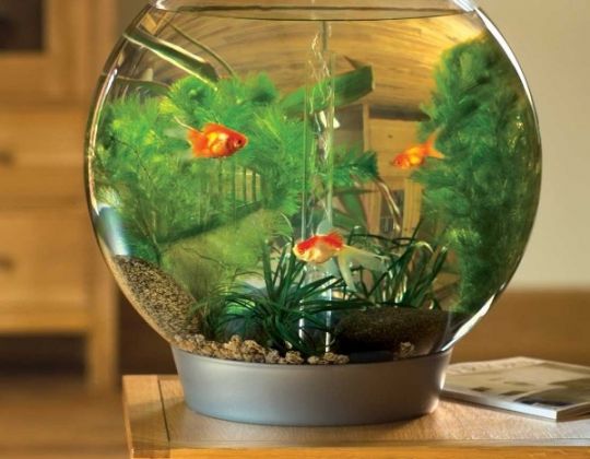 10 Đại kỵ và cách hóa giải trong phong thủy nhà ở