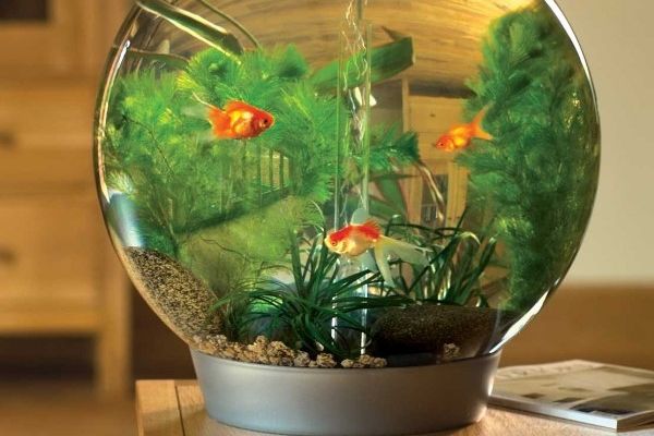 10 Đại kỵ và cách hóa giải trong phong thủy nhà ở